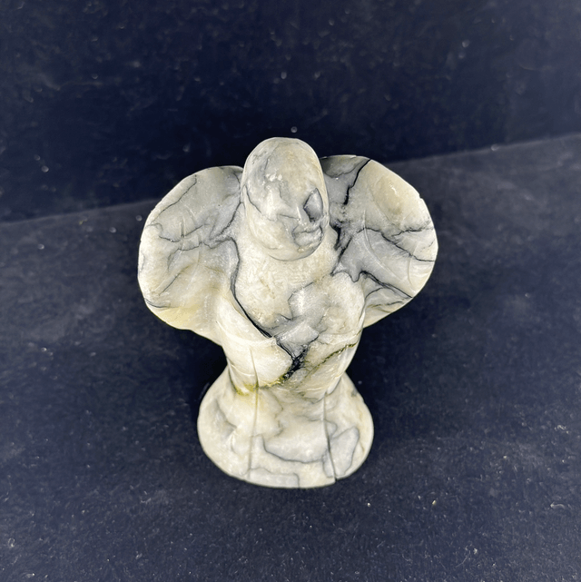 Angel - Pinolite 