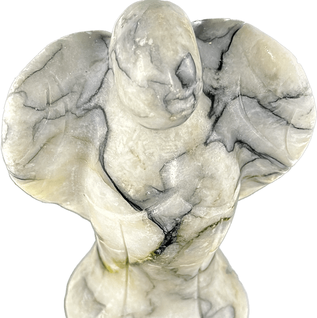 Angel - Pinolite 
