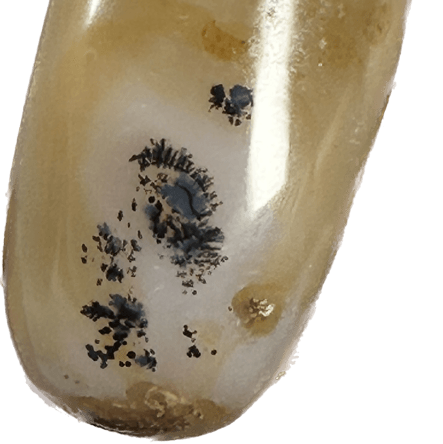 Freeform - Banded Agate