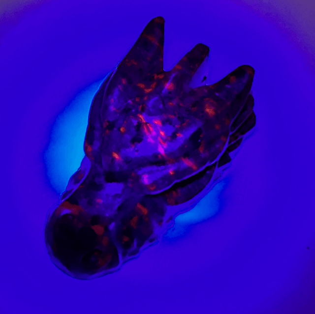 Dragon Head - Yooperlite