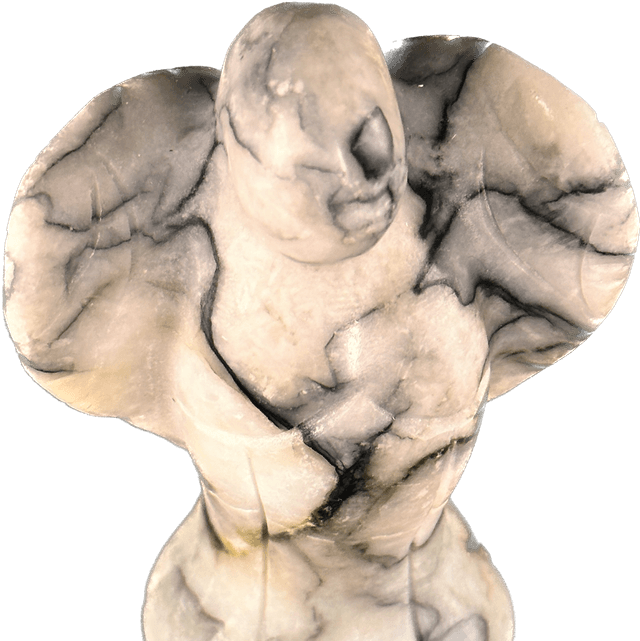 Angel - Pinolite 
