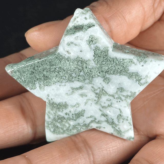 Star - Tree Agate