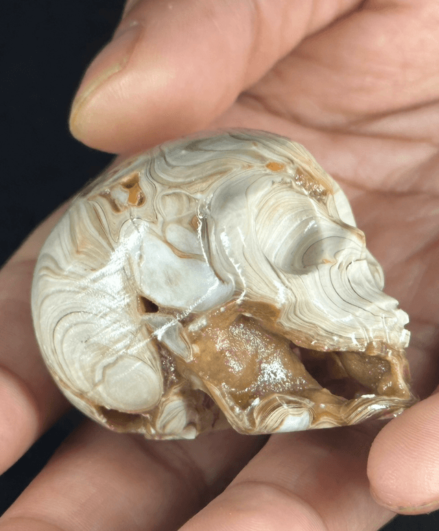 Skull - Agate